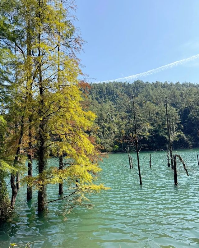 挑戰仙蹤龍園，暢享登山之趣