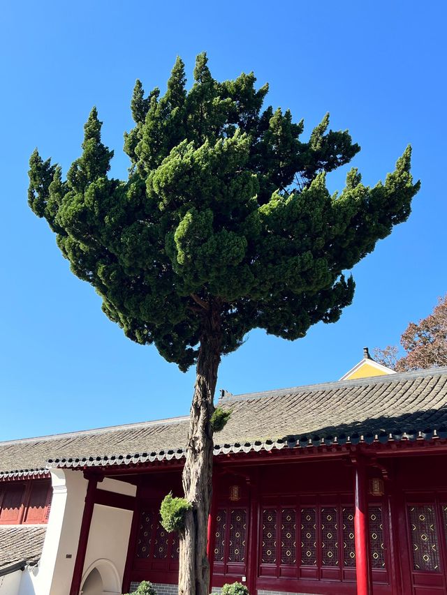 元旦舟山2日遊 玩轉海島不踩雷