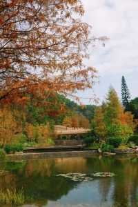 【綠意盎然】廣州雲溪植物園，探索城市綠洲的自然之旅