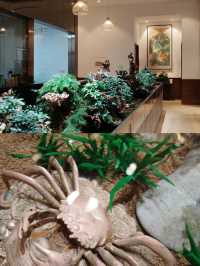 學生黨感動落淚,來上海一定要住這家酒店!