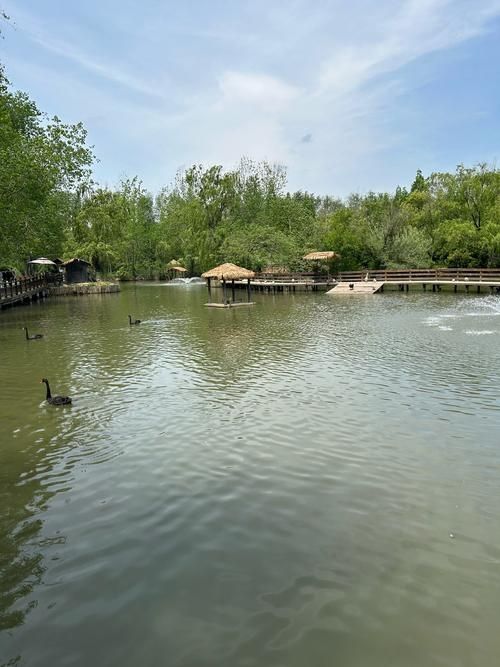 溱湖濕地公園