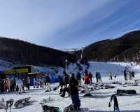 張家口雲頂滑雪場：冰雪中的夢幻之旅