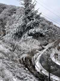 7元的小火車！駛入浪漫的雪國