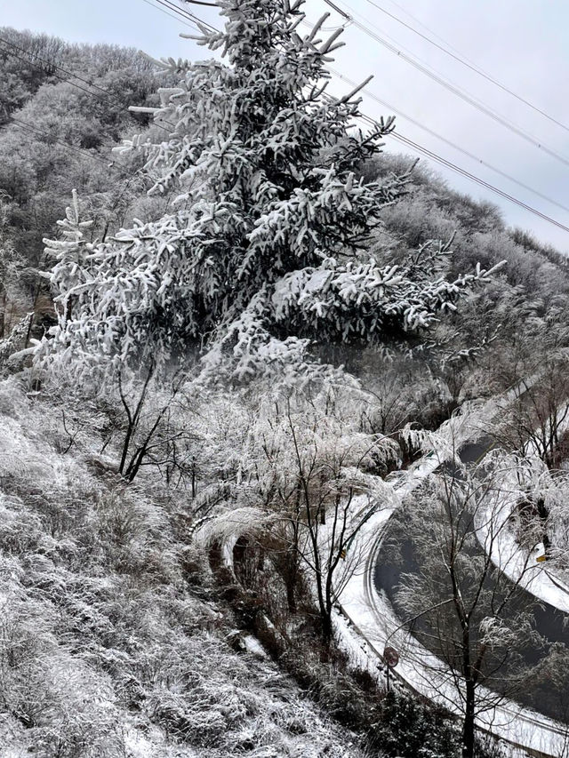 7元的小火車！駛入浪漫的雪國