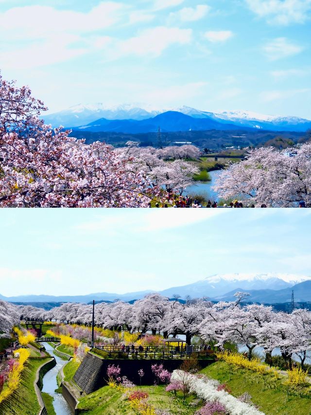 日本仙台