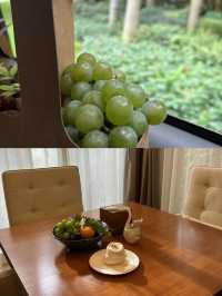 彌勒療癒之旅