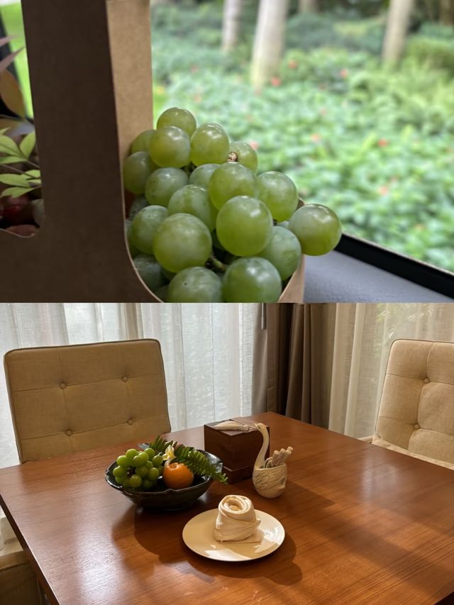 彌勒療癒之旅