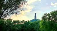北坞公園的夏天，真美！