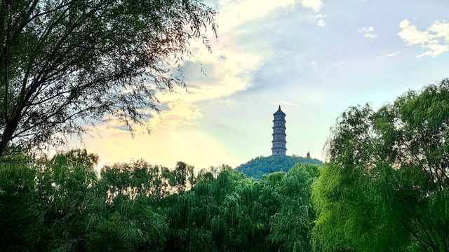 北坞公園的夏天，真美！