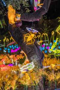 太震撼了！來珠海過大年，逛古鎮遊燈會