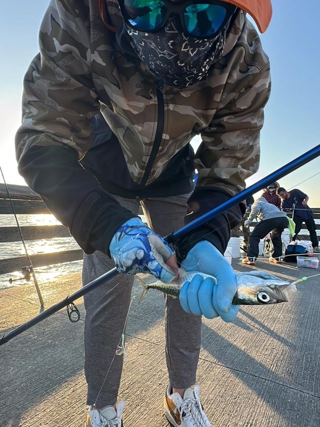 洛杉磯最佳捕魚地點盤點
