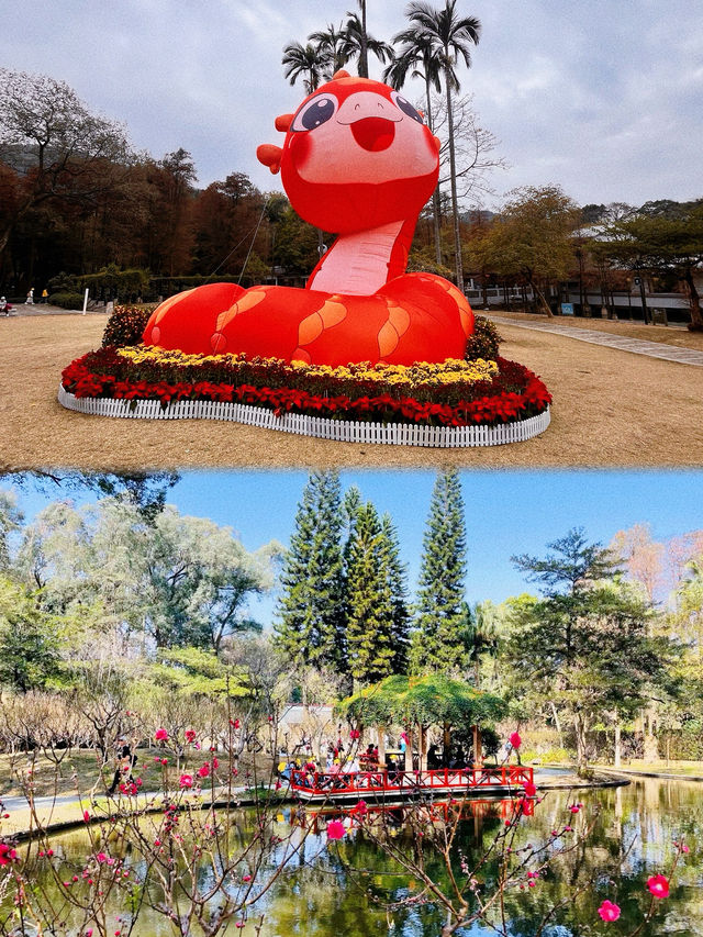 來來來！來白雲山桃花節走桃花運！！