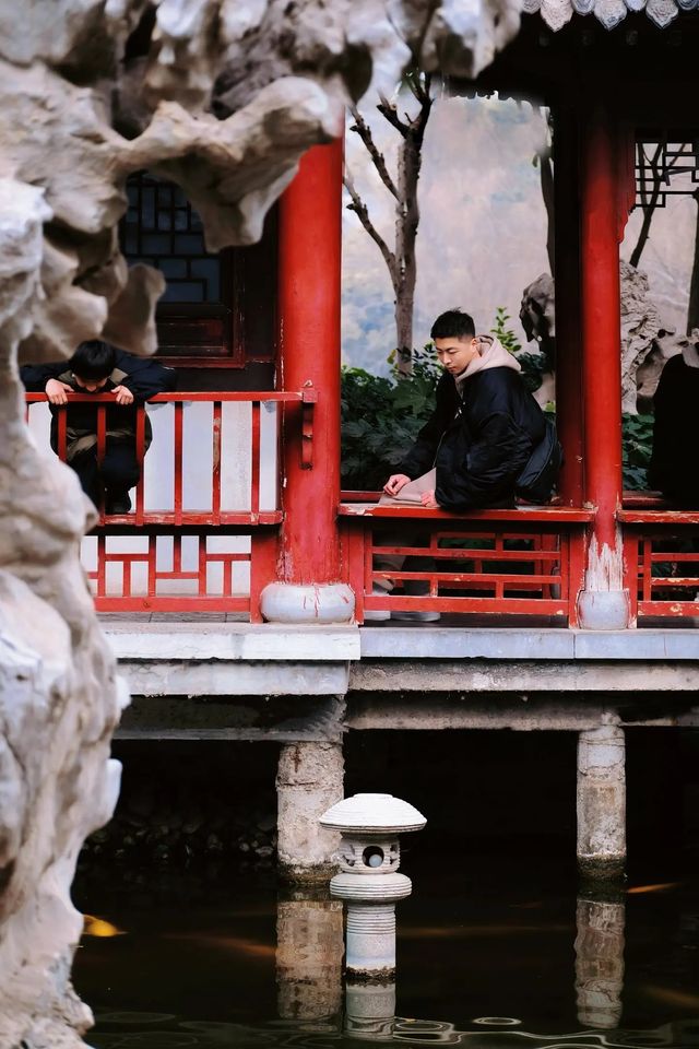 鄭州市中心，藏了一處寶藏～錦鯉觀賞園