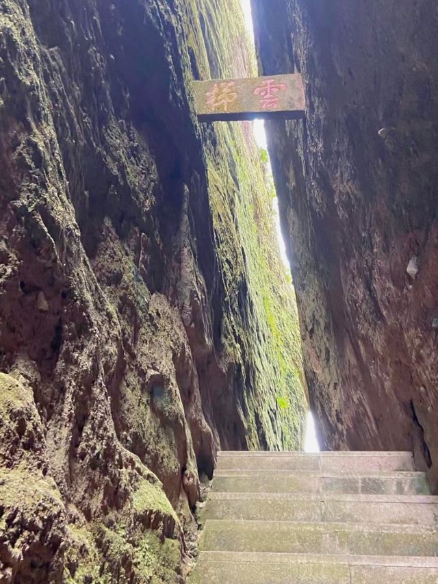 我不允許還有人沒去過永安桃源洞！這趟旅行太驚艷了！