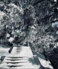 奔赴鄭州，只為一場「嵩山」之約
