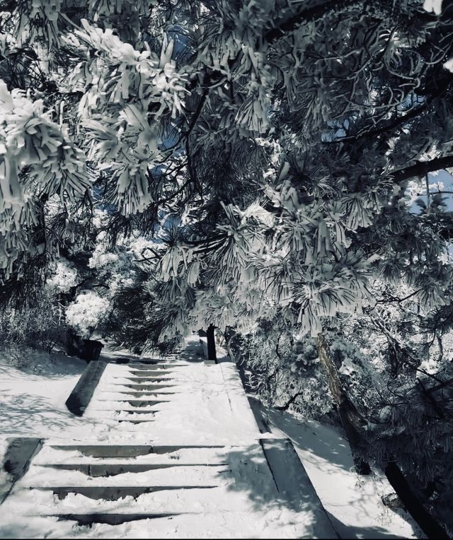 奔赴鄭州，只為一場「嵩山」之約