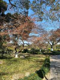 4日暢遊上海-杭州-蘇州 玩轉江南不踩坑