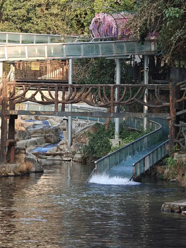 天露山で新年を過ごしましょう！家族旅行にぴったりの場所です