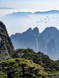 黃山春節3日遊｜超詳細攻略 懶人必備