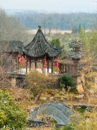 黟縣｜守拙園｜桃花源裏 抱水銜山 一圓同心