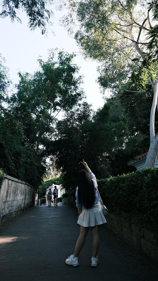 漫步鼓浪嶼，帶你感受島嶼的慢生活時光，遇見她真實之美