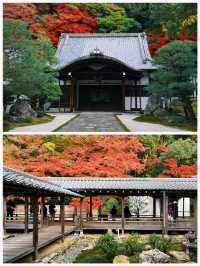 日本之旅·京都｜純玩一日遊攻略這些歷史文化遺產不要錯過