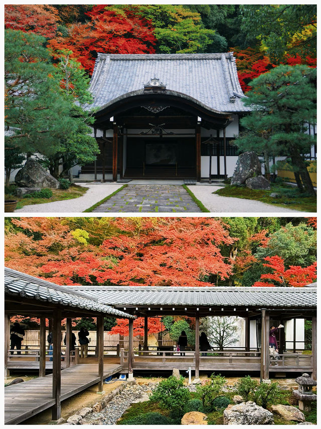 日本之旅·京都｜純玩一日遊攻略這些歷史文化遺產不要錯過
