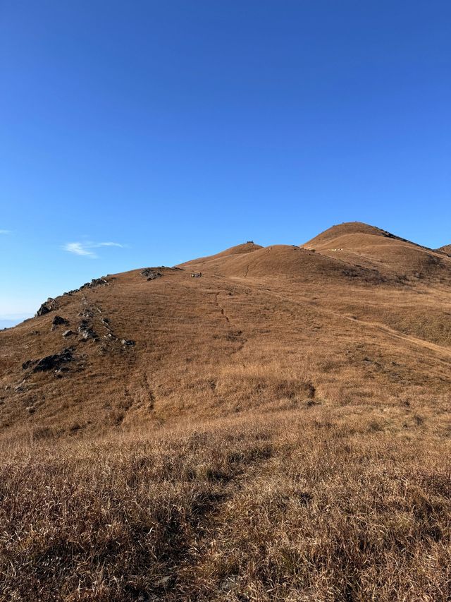 寒假郴州2日遊 輕鬆玩轉美景