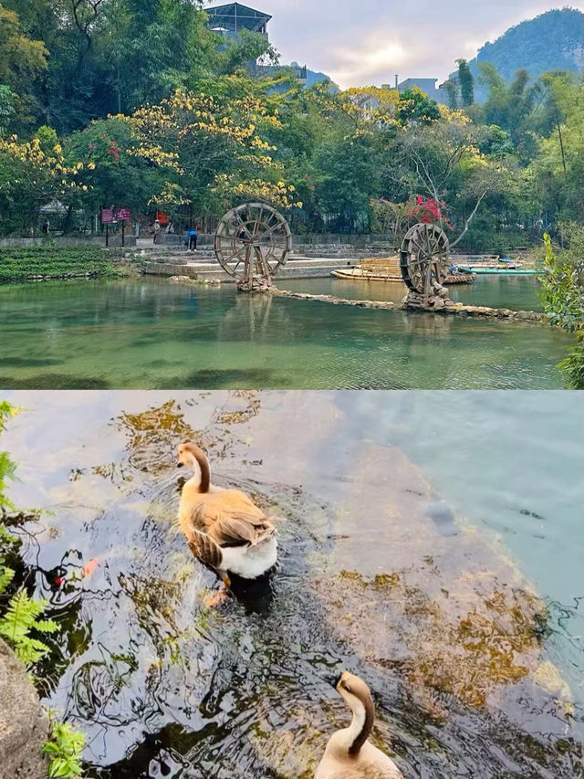 靖西已回，我的消費觀崩塌了。
