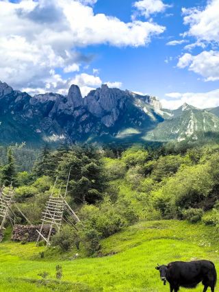 You don't have to go to Switzerland to enjoy the same beautiful scenery as the Alps!