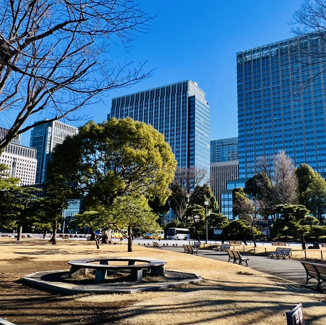 打卡東京皇居-楠木正成像