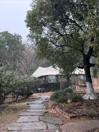 講真！Anadu橄欖莊園，寵物友善天花板