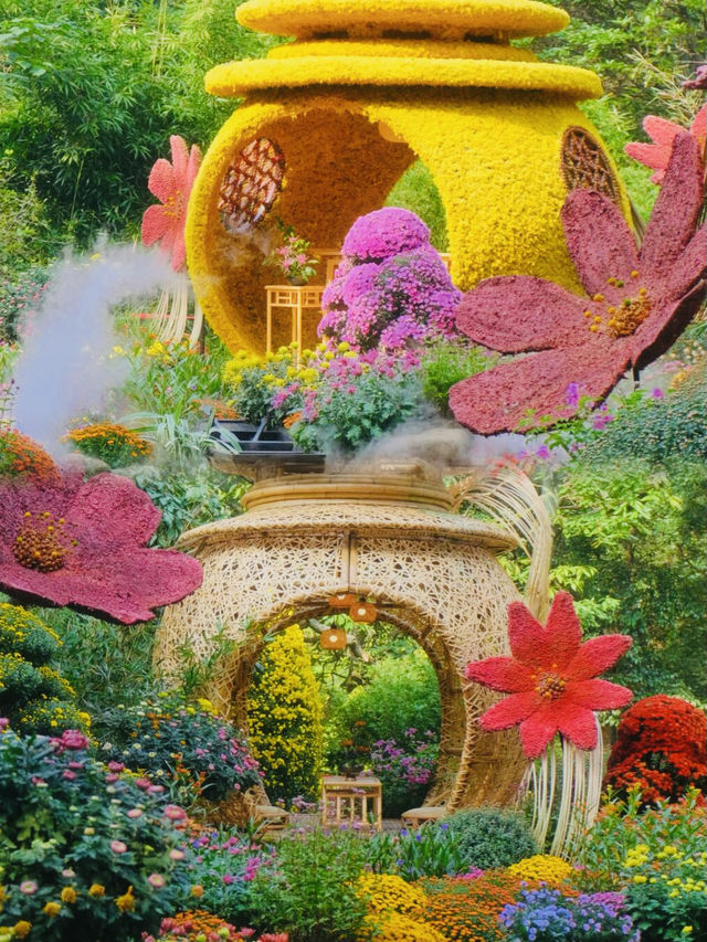 貴州植物園，簡直不要太完美，寶子們我愛了這個植物園，太美了！
