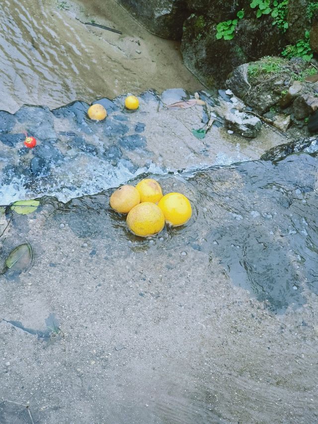 誤入現實版綠野仙蹤，邂逅修水煙雨古村