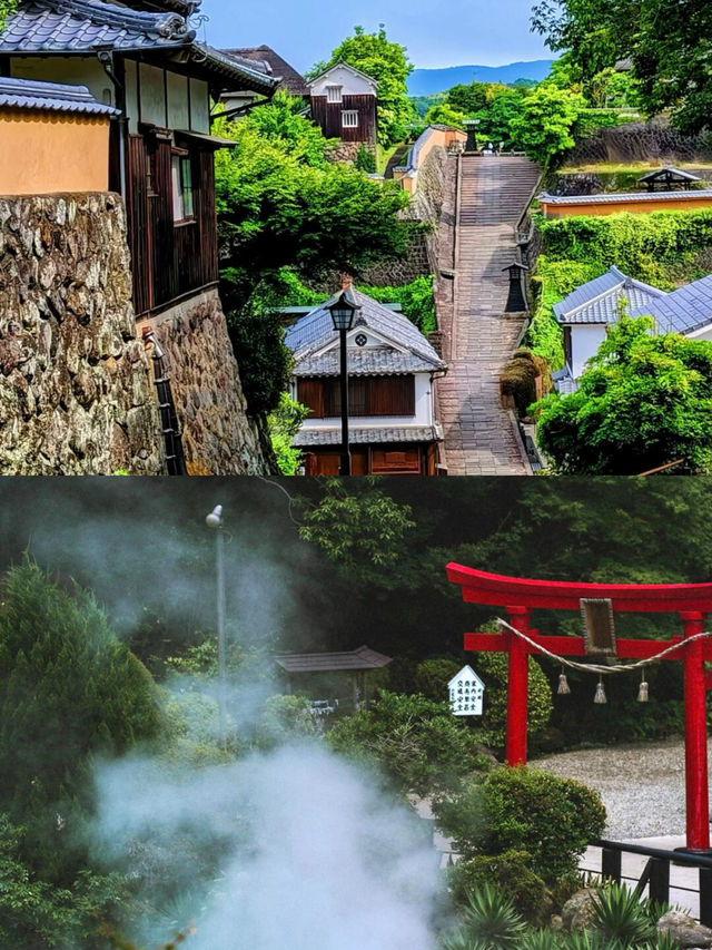 3月的櫻花去哪看？來這裡就夠了