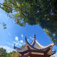 🌳探尋中山隱秘角落，踏入真實版綠野仙蹤