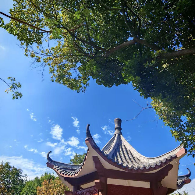 🌳探尋中山隱秘角落，踏入真實版綠野仙蹤