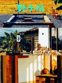 中山野小院民宿攻略🌟：隱世田園風，打卡必住！