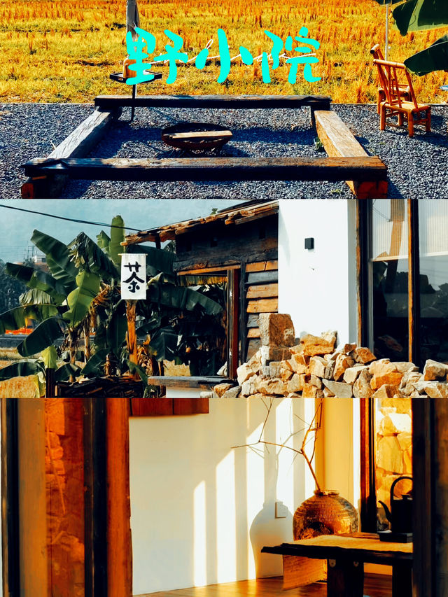 中山野小院民宿攻略🌟：隱世田園風，打卡必住！