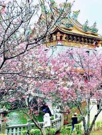 【新北林口竹林山觀音寺】寺廟遊也能超美的！