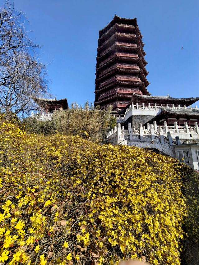 園博園春曉