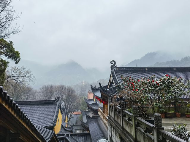 煙雨法喜寺，一寺繁花，500年的約定