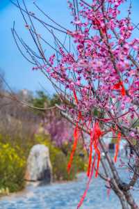 法雲寺｜鄭州最低調的千年古剎、位置在蝶湖