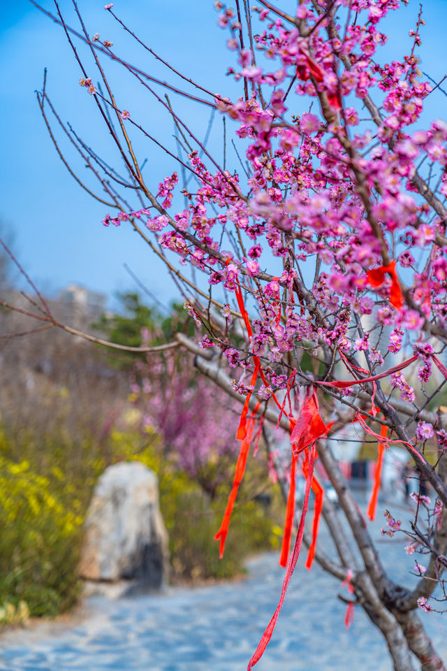 法雲寺｜鄭州最低調的千年古剎、位置在蝶湖