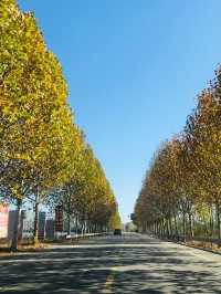 濟南-泰安-濟寧3日遊超火路線 不去後悔一輩子
