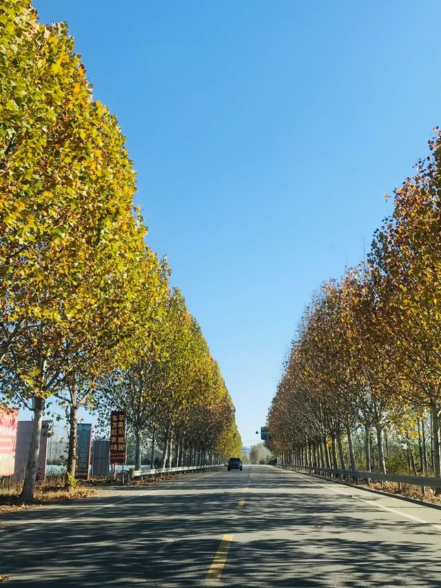 濟南-泰安-濟寧3日遊超火路線 不去後悔一輩子