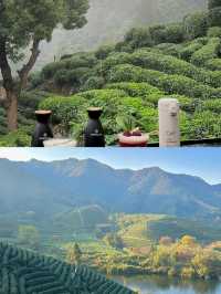 清遠!!茶園秘境民宿太適合 staycation
