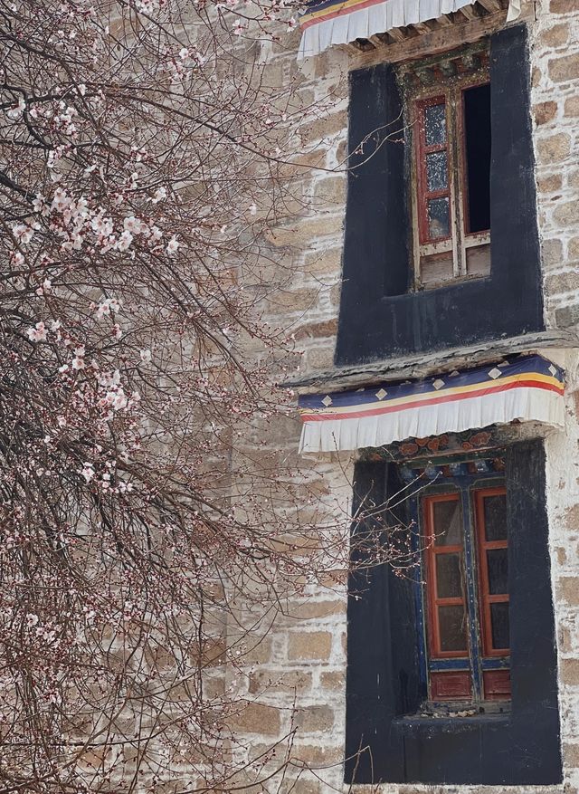 拉薩哲蚌寺，藏區最大寺院,春日賞花秘境