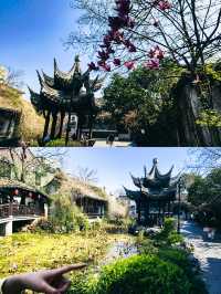 湖州酒店避雷丨本地人私藏的3天2夜玩法
