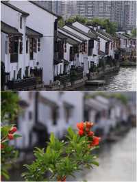 無錫受罪已回 真的不建議3月去